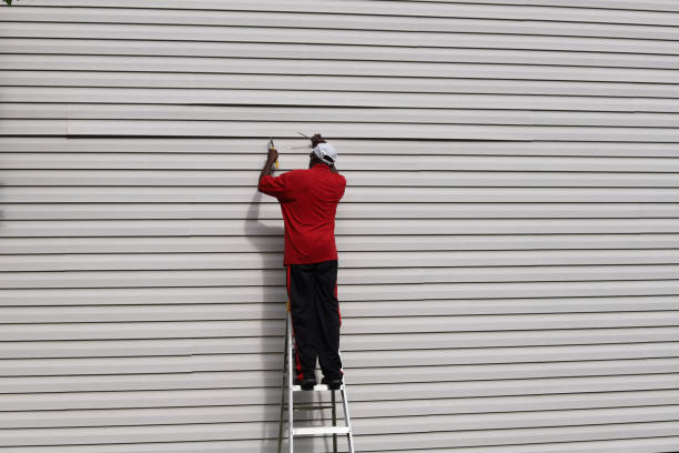 Affordable Siding Repair and Maintenance Services in Brisbane, CA